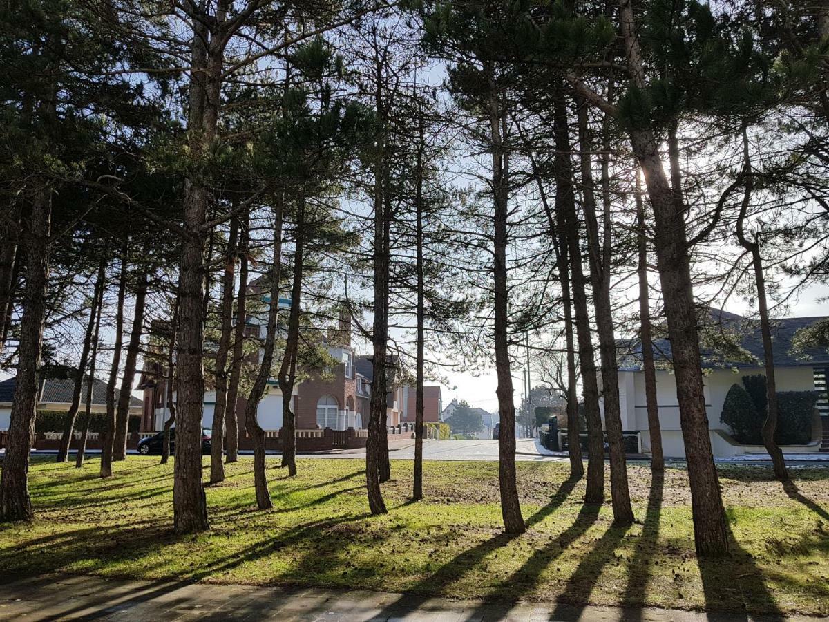 Sunny Days - App 60 M2 Avec Balcon, 4 Pers, 3e Etage, Au Calme Et Ensoleille Appartement Le Touquet